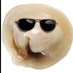 SempaiELAN